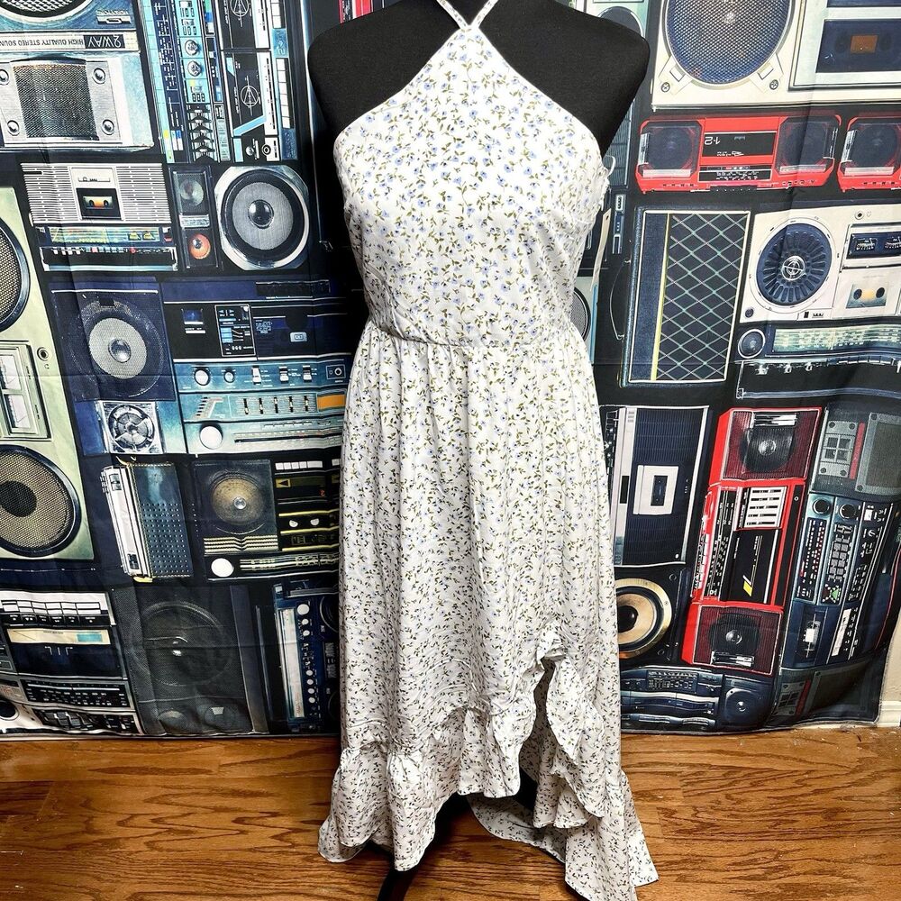 Blue Rain Francesca’s White w/ Blue Flowers Ho-Lo Ruffle Hem Long Dress Size M